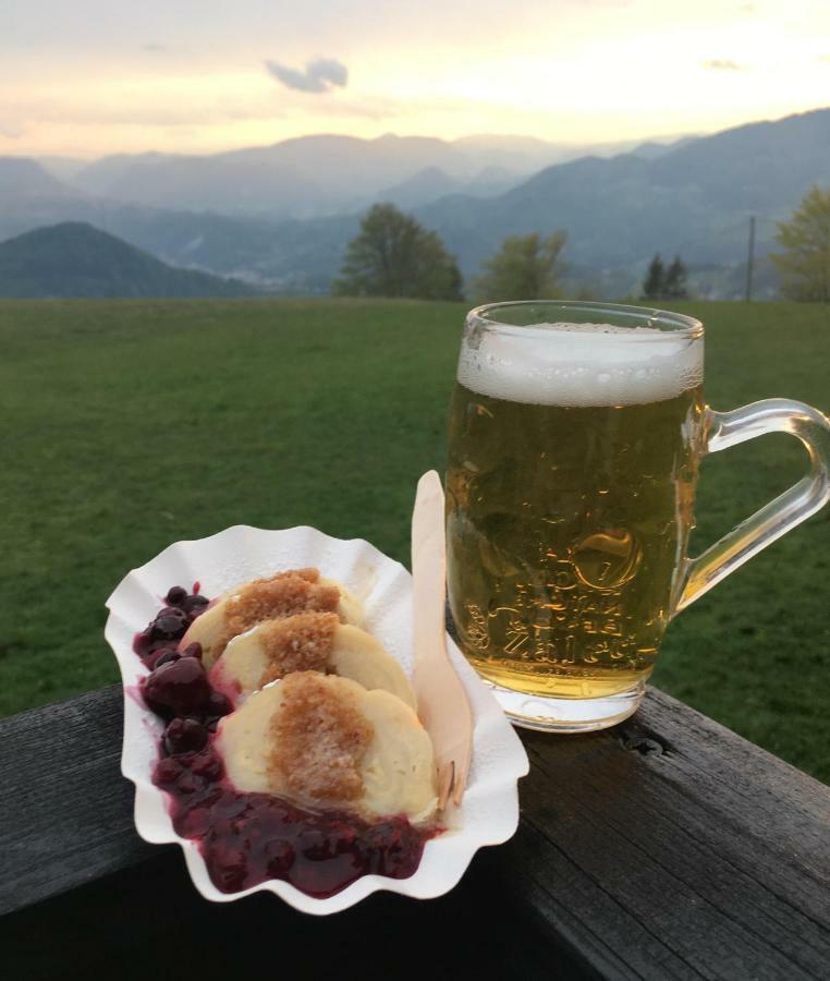 Bed and Breakfast Planinski Dom Na Kalu Dol pri Hrastniku Zewnętrze zdjęcie